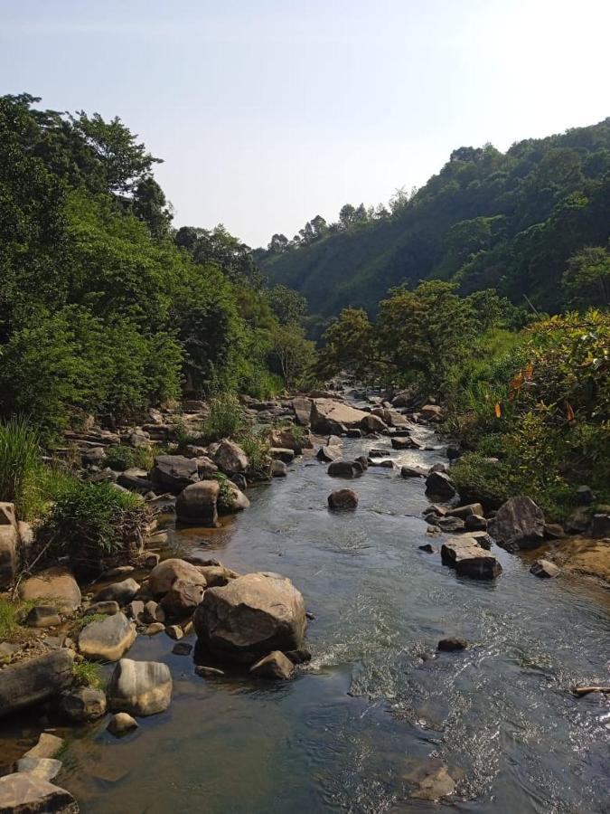 Dedunu Guest Hotel Badulla Ngoại thất bức ảnh